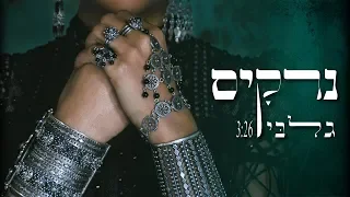 נרקיס גלבי Narkis Galbi 