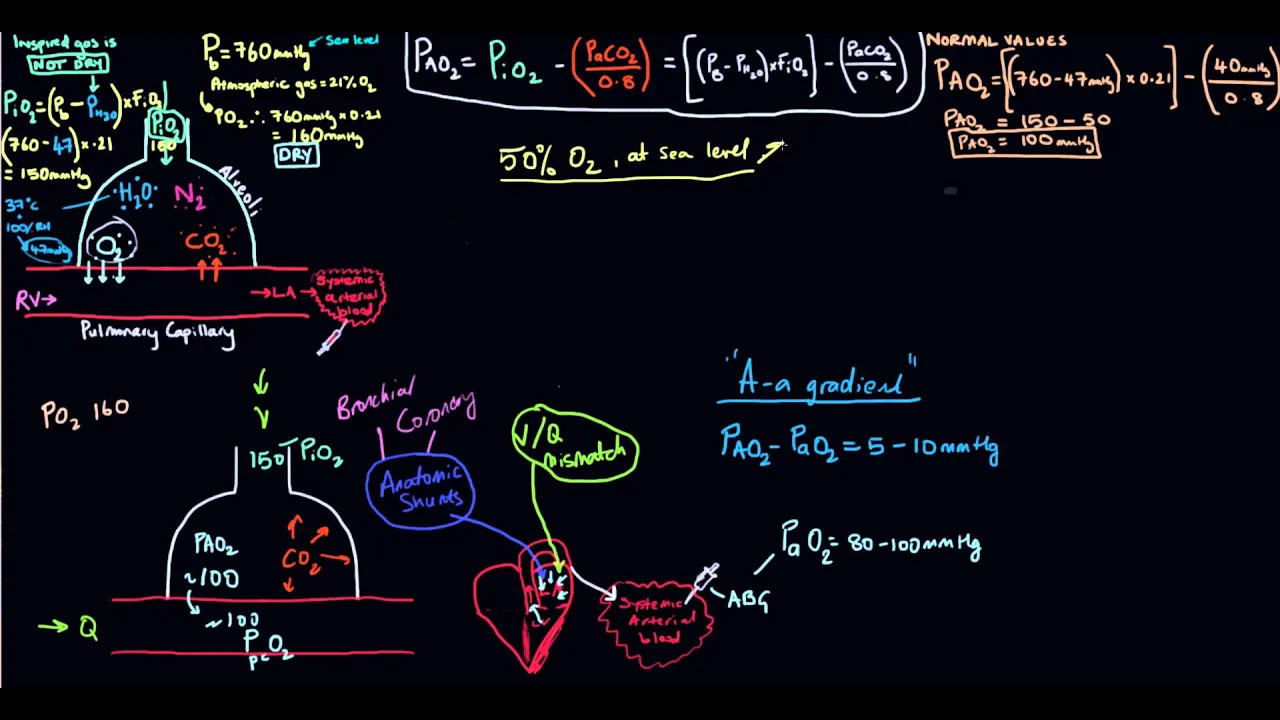 A-a gradient (Alveolar-arterial oxygen gradient)