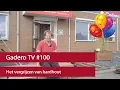 Download Lagu #100 Het vergrijzen van hardhout