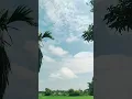 new viral video | shorts video #shortvideo #shorts #viral #viral #viralshorts #youtubeshorts
