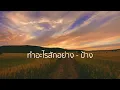ทำอะไรสักอย่าง - ป้าง นครินทร์【Lossless Music】
