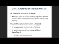Day 16 Muscular System Chapter 10 Lecture 21 Part 1