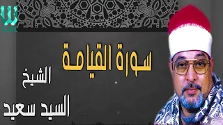 القارئ الشيخ السيد سعيد سورة القيامة 