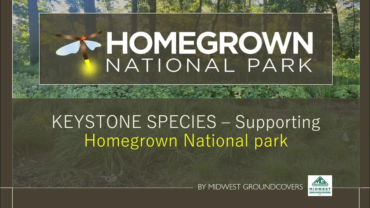 Keystone Species - Supporting the Homegrown National Park movement