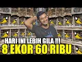 Download Lagu REJEKI HARI INI ! KIOS NASIKIN MAKIN PANAS !!! RIBUAN EKOR BURUNG OMBYOKAN DIJUAL HABIS HABISAN