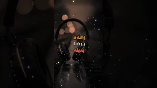 ياعين فيك القلب معجب تصاميم جوده عاليه 4k تصميم فيديوهات دويتو شيلات ستوريات ذوق اليمن 