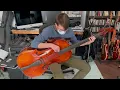 Diederik Billiet on The Bace - built by Mark Zandveld