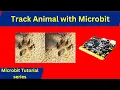 Animal Tracker with Microbit Robo CAD