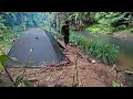 Download Lagu Camping dan mancing di spot baru tengah hutan kalimantan panen ikan sidat