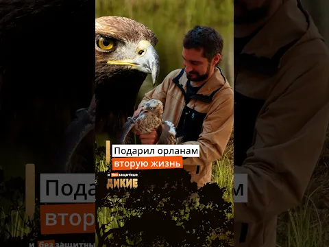 Подарил орланам вторую жизнь