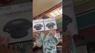 42 days to go until splash day