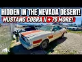 70 Cars Hidden in the Nevada Desert Ford Cobra II More