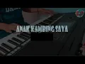 Download Lagu ANAK KAMBING SAYA (KARAOKE)