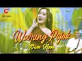 Download Lagu Diva Hani - Warung Pojok (Official Live Music Video Sik Asik) Goyang Asik Asik