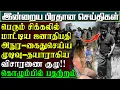 Lagu பெரும் சிக்கலில் மாட்டினார் ஜனாதிபதி அநுர - கைதுசெய்ய உத்தரவு | பிரதானசெயதிகள் #akd  #anurakumara