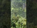 Download Lagu Satara thosegar water fall