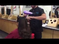 WBI Demo Blow Dry