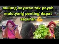 Download Lagu BELANJA WARUNG LIA ⁉️ MULUNG SAYURAN TAMBAHAN SAYUR DI DAPUR// PEDAGANG BAIK  BERBAGI SAYURAN 