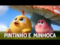 Download Lagu 🐥 Pintinho e a Minhoca