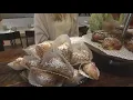 Delicious Greek food outside of NYC