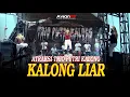 ATRAKSI TRIO PUTRI KALONG | KALONG LIAR | New LANGLANG BUANA | AVIIAN PRO | LIVE LAMPUYANG