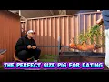 Download Lagu DAILY VLOG + PIG ON A SPIT FOR LUNCH QnA