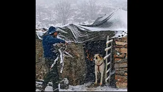 Winter Snowstorm Camping Bushcraft Survival Shelter Nature Sounds 