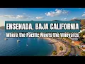 Is Ensenada Still Affordable for Expats 2026 Prices