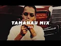 Lagu Tamahau - Rebel Musique Mix Vol. 1