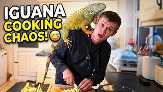 He Tried to Climb on My Head While I Was Cooking! 😅