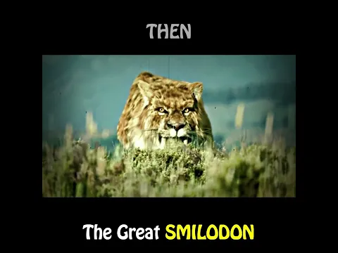 SMILODON - Sigma Rule 🔥🔥 #Shorts