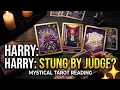 Harry s Legal Bill - Will he be stung the Hardest Tarot thesouthernstartarotxtra