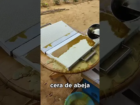 Colmena artificial? 🤔