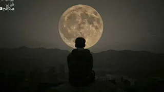 محمد سعيد Mohamed Said راجعه تاني ليه 2020 