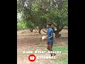 Download Lagu Karuppan SEKAR 🔥Man Attacking Video#gamestartvolleyvideos#shotsvideos#warmupshotsvideo#workoutvideos