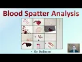 Blood Spatter Analysis