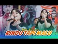 Download Lagu RINDU TAPI MALU (fyp tiktok) - ICHA KISWARA - ZAGITA Live PRAMBON (SBR audio)