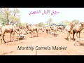 Download Lagu Monthly camels market
