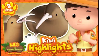 KIWI HIGHLIGHTS! | Leo the Wildlife Ranger | Learning Animal Cartoons