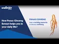 Download Lagu What ia Ginseng Extract  | Wellman