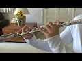 Sunflower - Post Lee flute cover