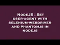 NodeJS Set user-agent with selenium-webdriver and phantomjs in nodejs