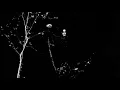 Darkthrone - Kathaarian life code