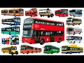 Bus Names for Kids Learn Vehicle Names in English City Bus School Bus More