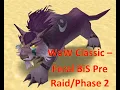 WoW Classic Feral DPS Druid Pre Raid to Phase 2 BiS list Guide