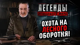0Х0ТА НА ЛЕСНОГО ОБОРОТНЯ! СЕКРЕТНАЯ 0ПЕРАЦИЯ, КОТОРАЯ СТАЛА ЛЕГЕНДАРНОЙ