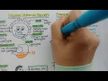 Innate Immune Defenses