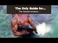 The Only Guide for Category Battle Rifle - Internet Movie Firearms Database