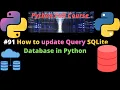 How to update Query SQLite Database in Python SQLite Database Query update