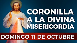 Coronilla a la Divina Misericordia. #divinamisericordia #coronilla